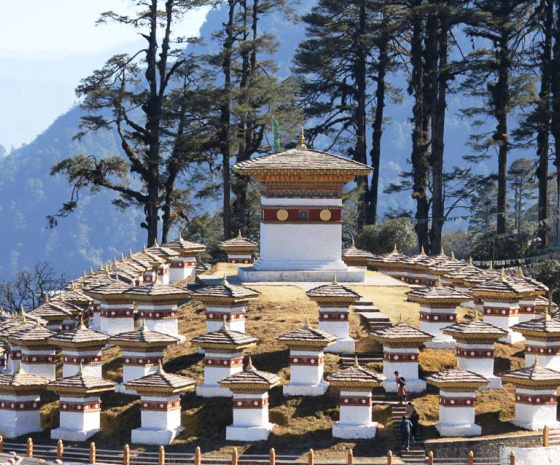 Bird watching at Dochu La, Lampelri Botanical Park and Punakha.