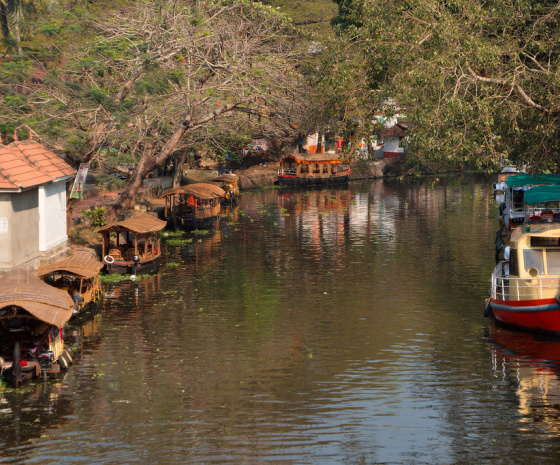 Transfer to Alleppey - Overnight Stay in Houseboat