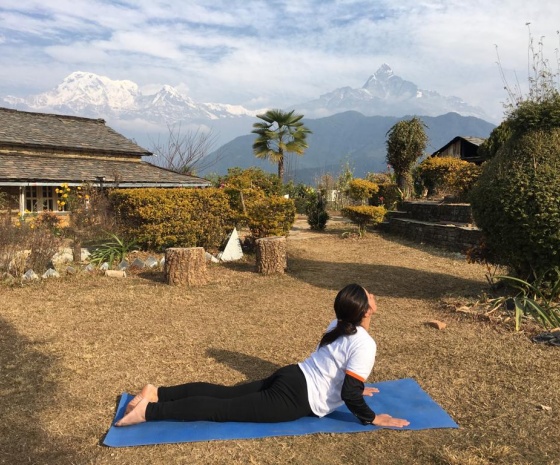 Yoga session by expert: Trek to Dhampus (1525m); 4-5 hrs walk and Drive to Pokhara from Phedi Trek to Phedi: 1hr walk & 45 minutes dirve 
