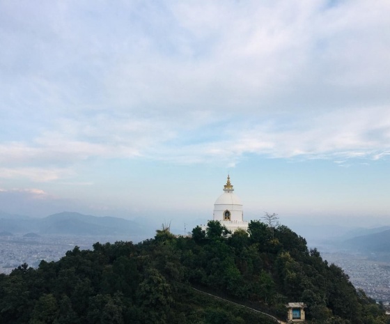 Drive to World Peace Pagoda: Explore & short hike to Kalabang (1344m altitude): Lunch with family
