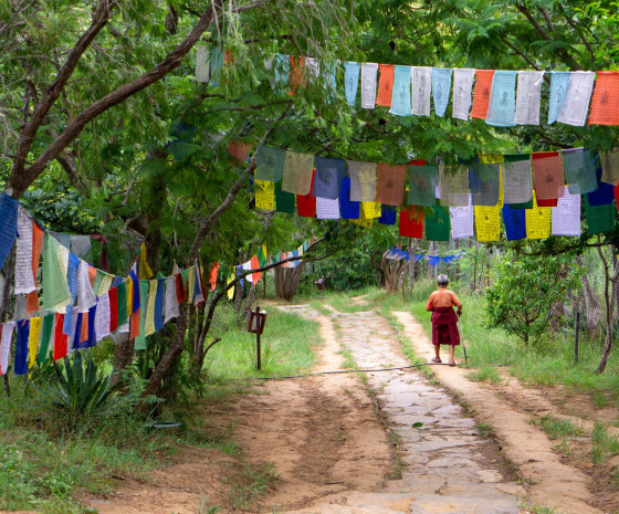 Explore Punakha and drive to Wangdue - 30 minutes (13km) drive