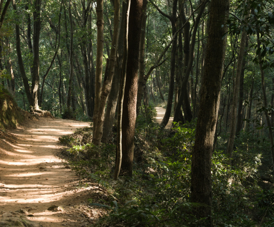 Ride from Kathmandu to Chisapani via Shivapuri National park-Mulkharka: 30KM: 6 hours