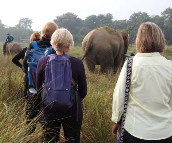 Full day activities at Chitwan National park