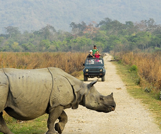 Full day jungle activities in Chitwan National Park 