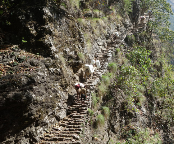 Trek from Maccha Khola to Jagat (1410m/4625ft) approx. 17kms : 6 - 7 hours (B, L, D) 