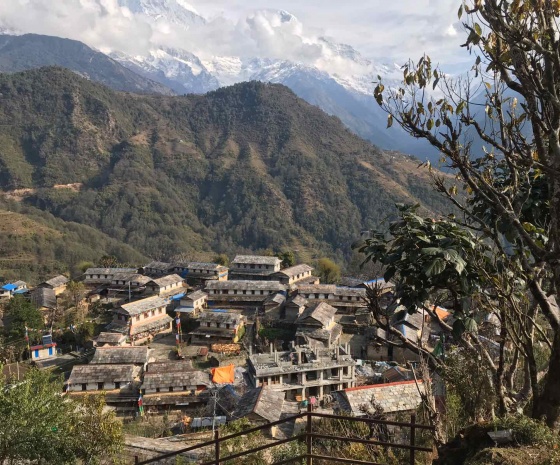 Ghandruk- Nayapool trek and drive to Pokhara ( Drive Duration: 1 and 1/2 hour)- Trek Duration: 4-5  hours