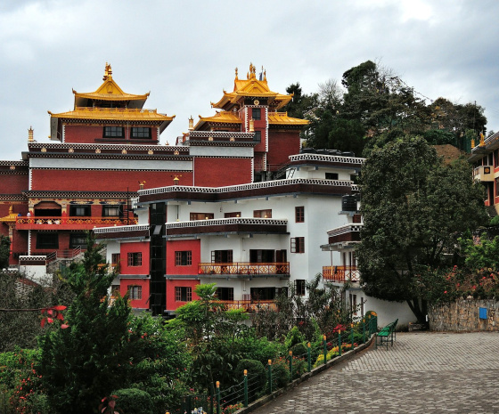 Buddhist philosophical session with monks