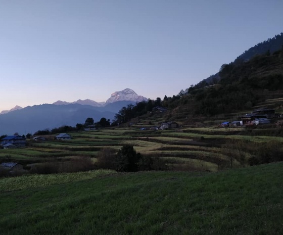 Trek from Mohare Danda (3300 m) to Swantha  (2400 m) - Trek Duration:  5-6 hours