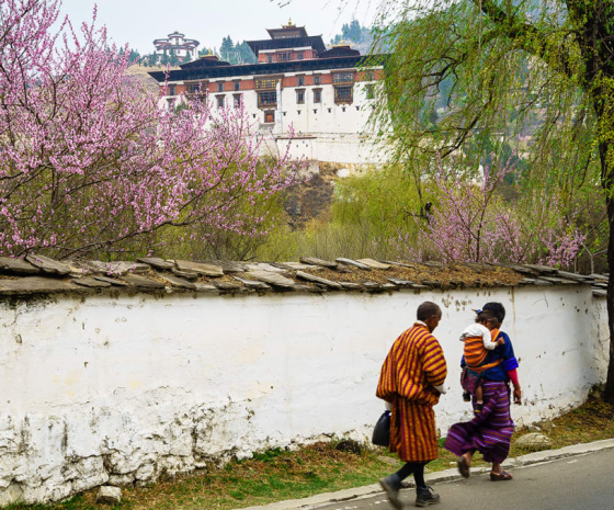 Explore Punakha