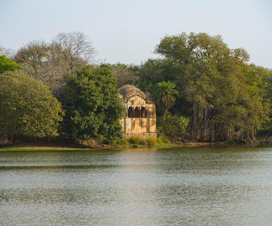 Ranthambore National Park Safari 