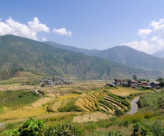 Phobjikha To Punakha