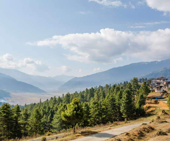 Thimphu To Phobjikha Valley