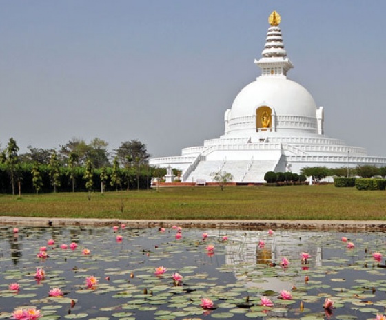 Full day excursion at Lumbini: Different monasteries in rickshaw 