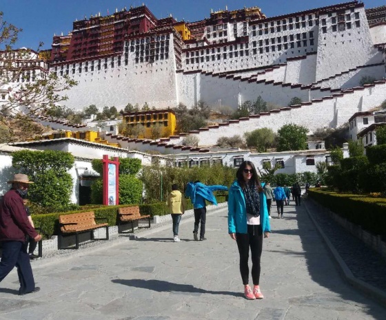 Sightseeing: Potala Palace & Drepung Monastery 