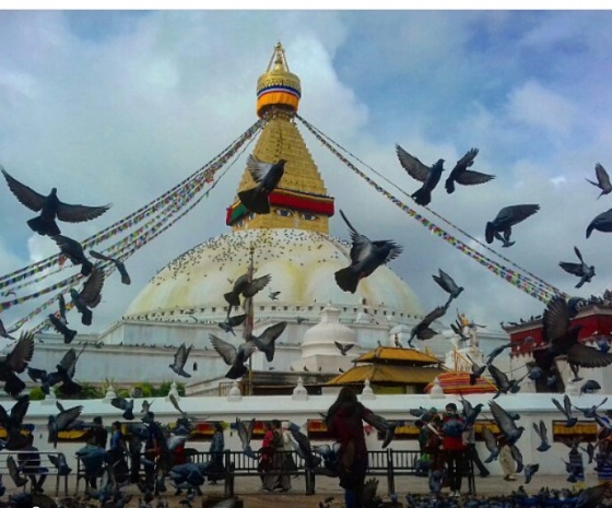 Sightseeing:  Boudhanath Stupa, Patan Durbar Square,  & Swayambhunath  & :7- 8-hours