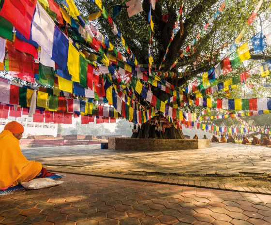 Exploring Lumbini's international Buddhist sites 