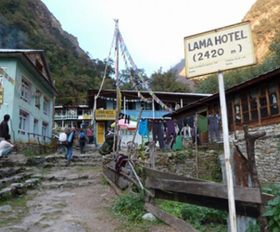 Trek Syabrubesi- lama Hotel (2510m/8232ft) approx. 11km & 6 hrs walk (B, L, D) 