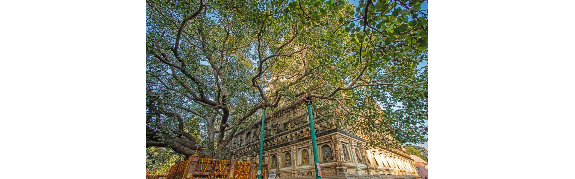 Spiritual Tour in India: Tales of Buddha  Banner