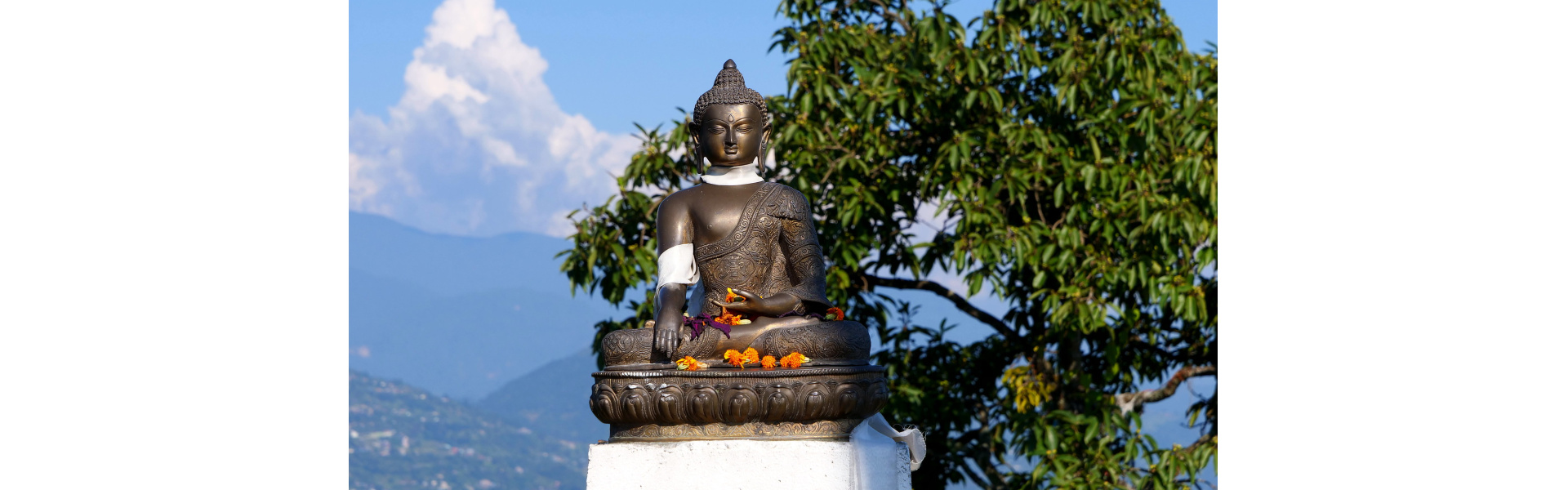 Buddha's Path to Wellness Banner
