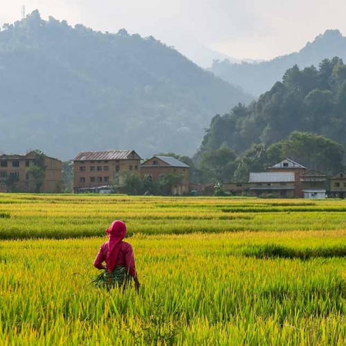 Panauti and Bhaktapur Day trip